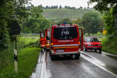 Steinheim-Hoepfigheim: Umgestuerzter Baum blockiert Fahrbahn